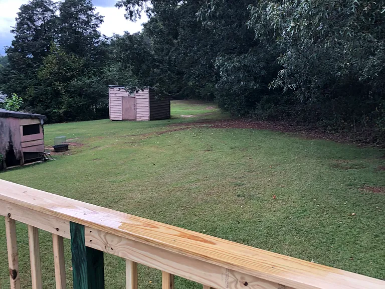 back yard