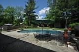 backyard 1