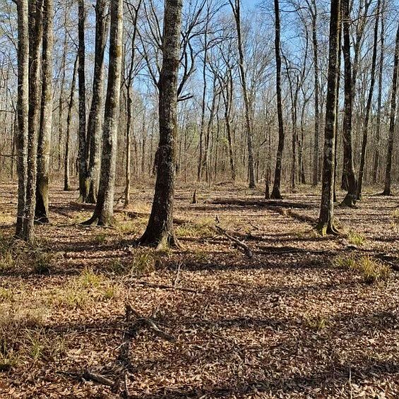 0 Richwood Trl, Elm Grove, LA 71051 MLS 20415076 Zillow