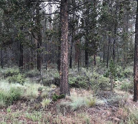 4th image of 16666 Evergreen Ln