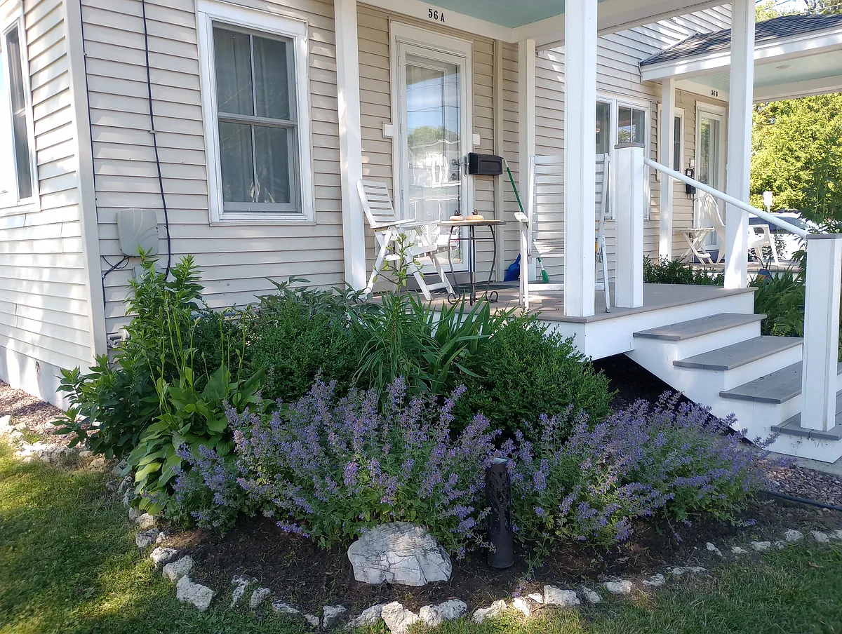 Building Photo - 56A Wright Ave