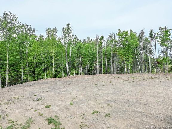 3rd image of LOT Du Parc St