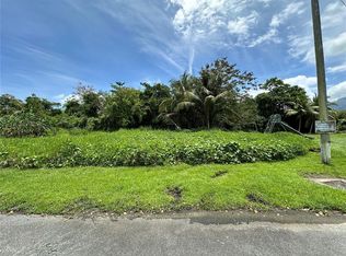 48 Calle Paraiso Hacienda Las Garzas, Rio Grande, PR 00745