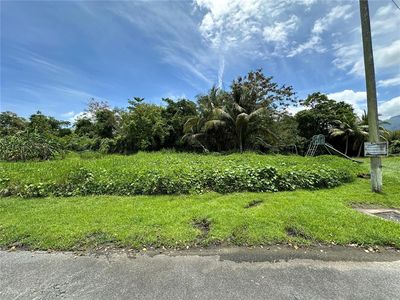 48 Calle Paraiso Hacienda Las Garzas, Rio Grande, PR, 00745