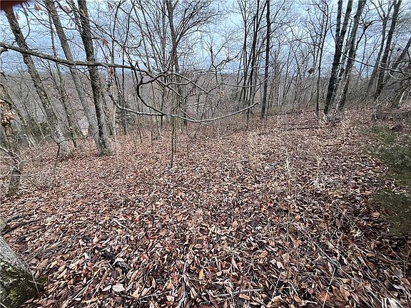 4th image of 7 Kirkpatrick Ct #7