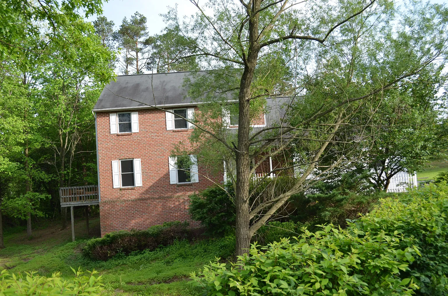 41 Teaberry Dr photo 1