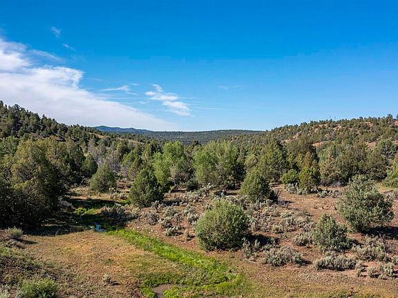 4th image of 3557 County Road 307