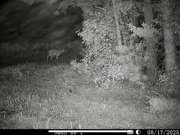 3rd image of 0 James Rd Lot Wp003