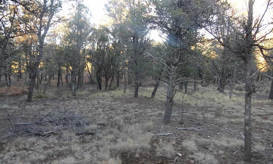 2nd image of Sacramento Mountain Rnch #4