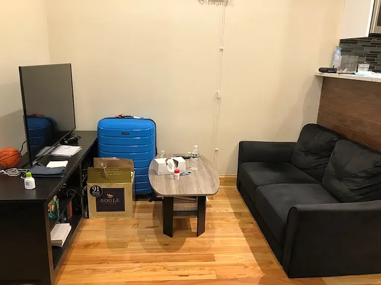 204 Greenpoint Ave #3LB — Photo 6