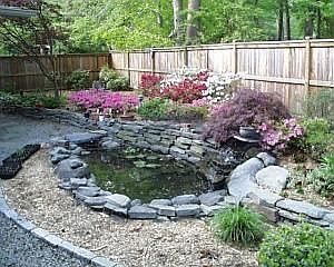 pond and waterfall