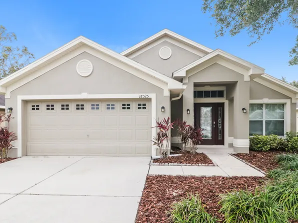 18525 Dajana Ave, Land O Lakes, FL 34638