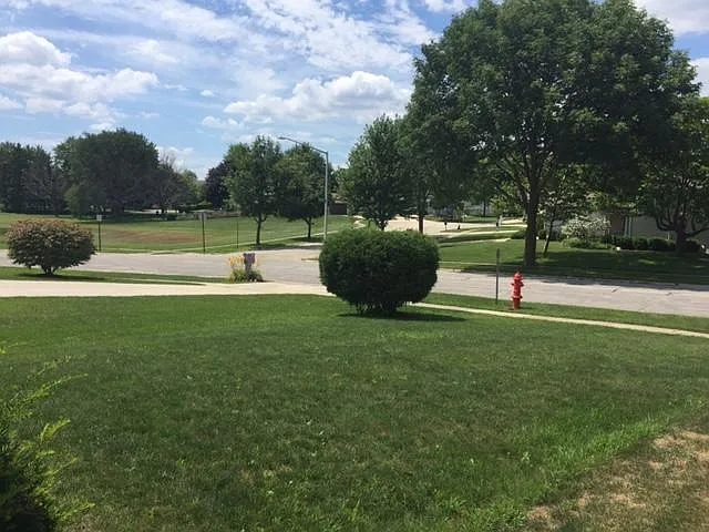 Front yard