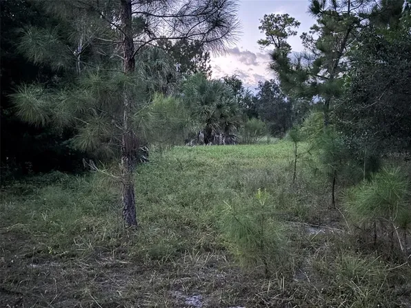 30735-30745 DEVON COURT LOT 74, EUSTIS, FL 32736