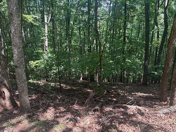 3rd image of 2 Doc Thomas Ridge Rd