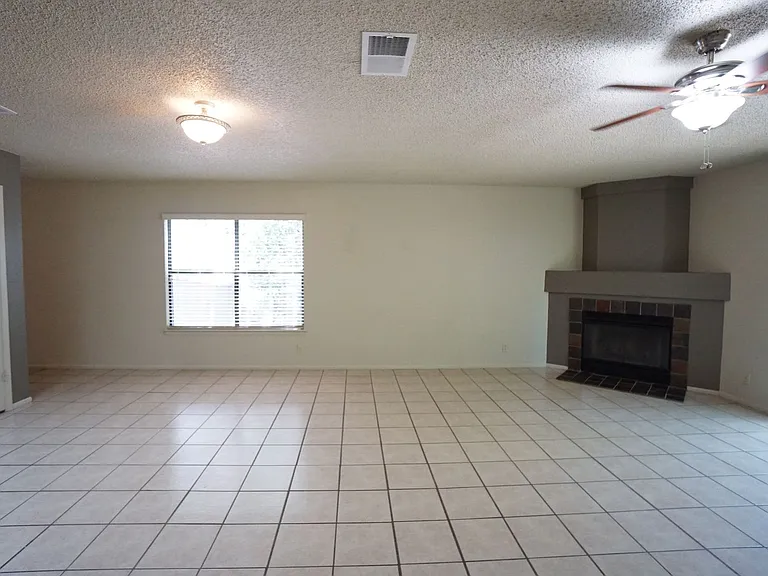 7719 Allison Blf — Photo 6
