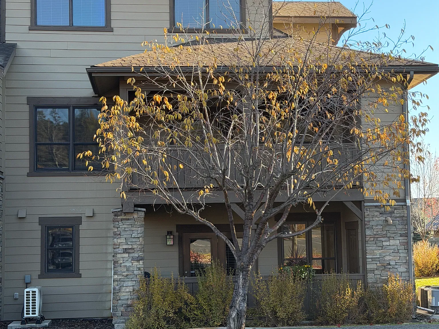 1 bed, 736 sqft, $1,800 — Photo 1