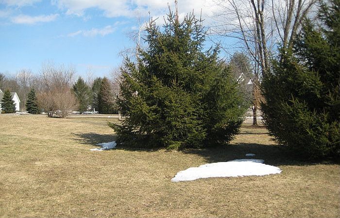 1st image of 12 Cherry Ln