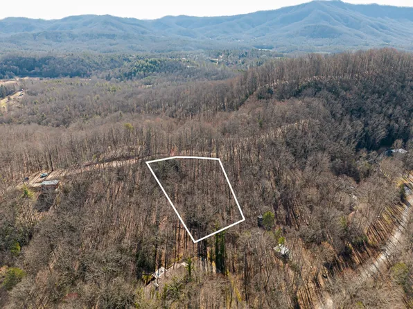 222 S Slope Ln, Old Fort, NC 28762