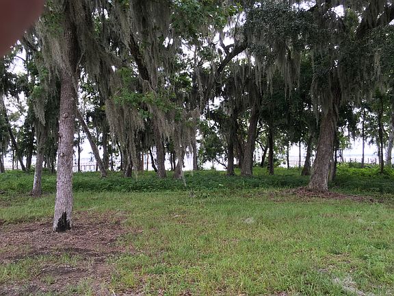 SJR wetlands from lot