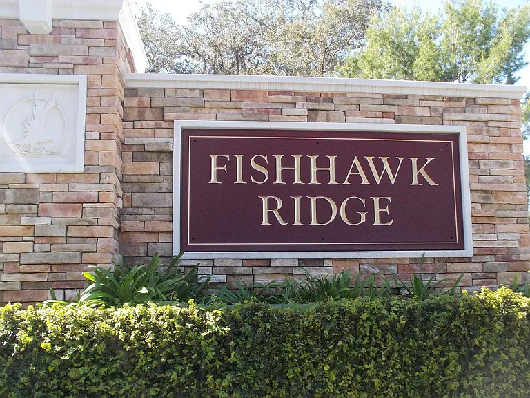 15965 Fishhawk View Dr — Photo 18