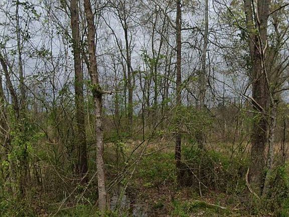 2nd image of LOT 23 Alabama St SE #24