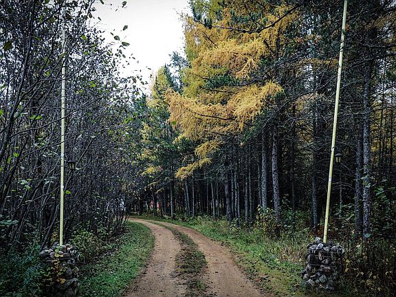 3rd image of 7839 Stromberg Rd