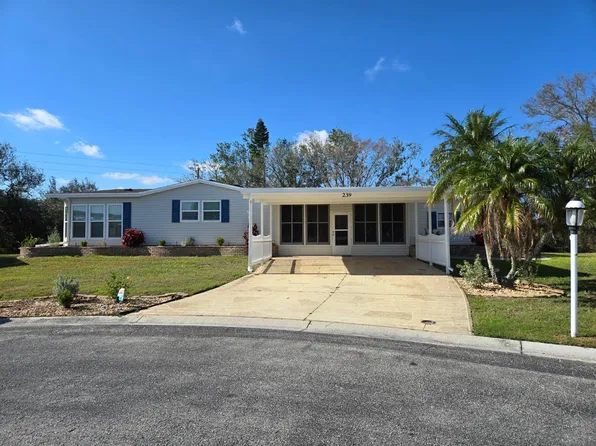 239 Tiger Lilly Dr, Parrish, FL 34219