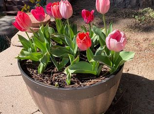 30980 Glen Oak Dr, Running Springs, CA 92382