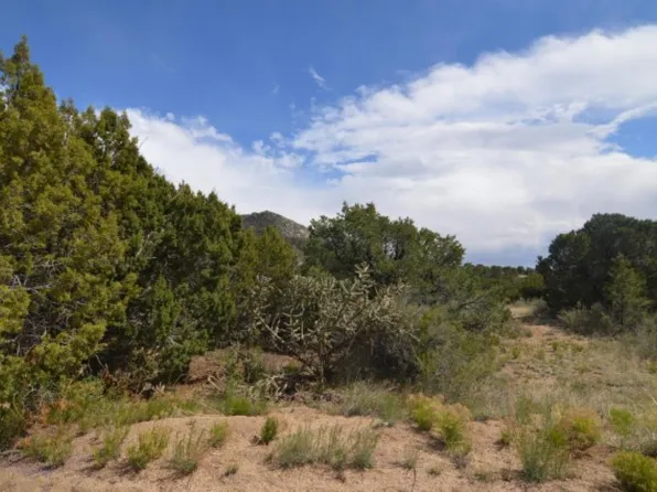 46 Circle Dr NE, Albuquerque, NM 87122