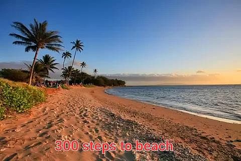 This is the actual beach in front of the condo.