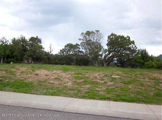 906 Clubhouse Dr, New Castle, CO 81647
