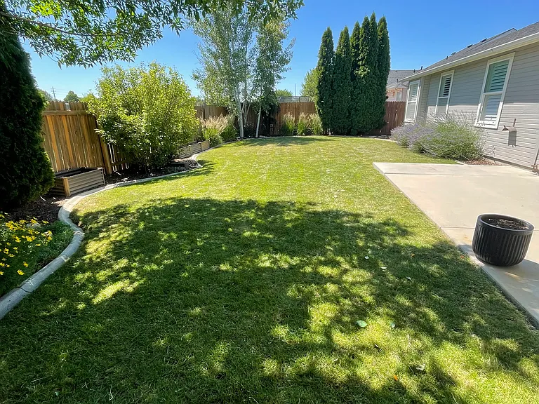 Backyard with mature landscaping