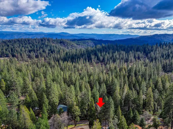 593 Avery Sheep Ranch Rd, Avery, CA 95224
