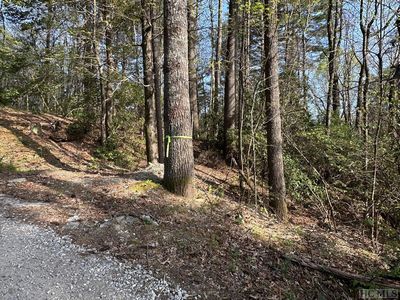 TBD Village Way, Sapphire, NC, 28774