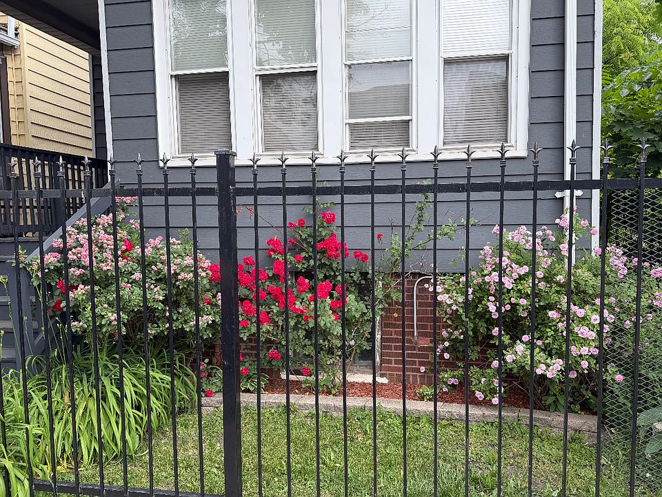 Front yard