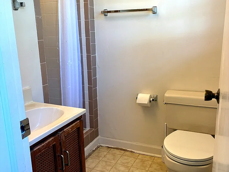lower level bathroom
