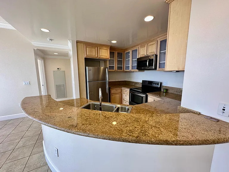 450 N Arlington Ave #1405 — Photo 15