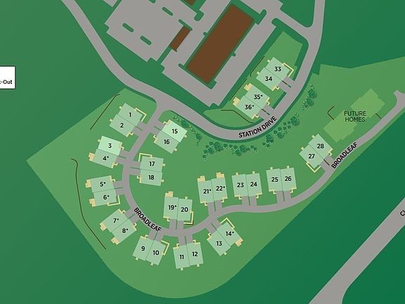 3rd image of 18 Broadleaf #20