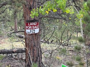 414 Hall Rd, Bailey, CO 80421