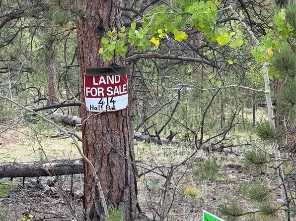 414 Hall Road, Bailey, CO 80421