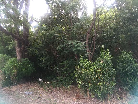 5th image of 1004 E Avenue E
