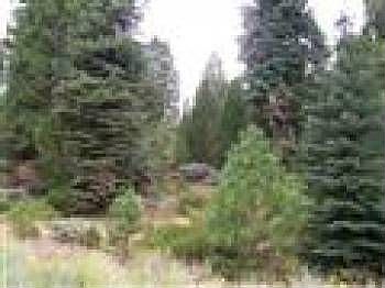 2nd image of 3466 Woodlake Dr #39-B