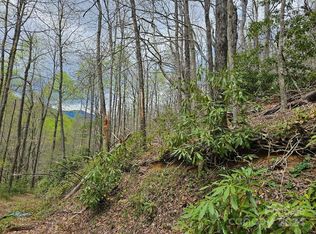 Dovers Branch Rd, Burnsville, NC 28714