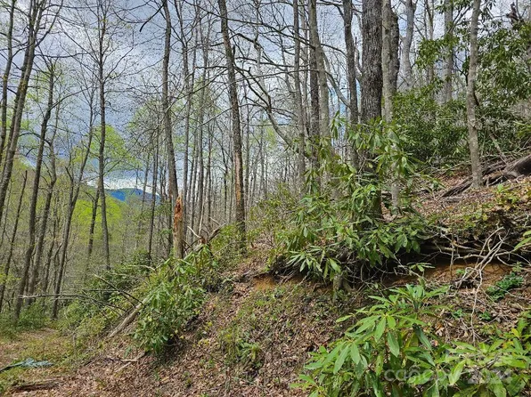 Dovers Branch Rd, Burnsville, NC 28714