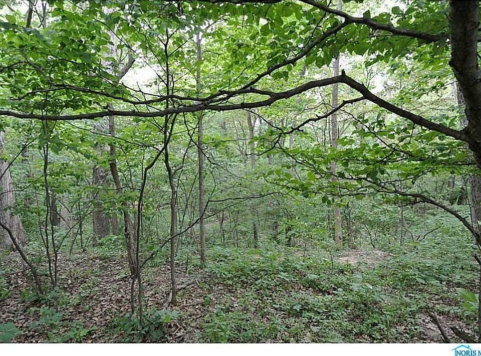 2nd image of 3699 Turtle Creek Dr