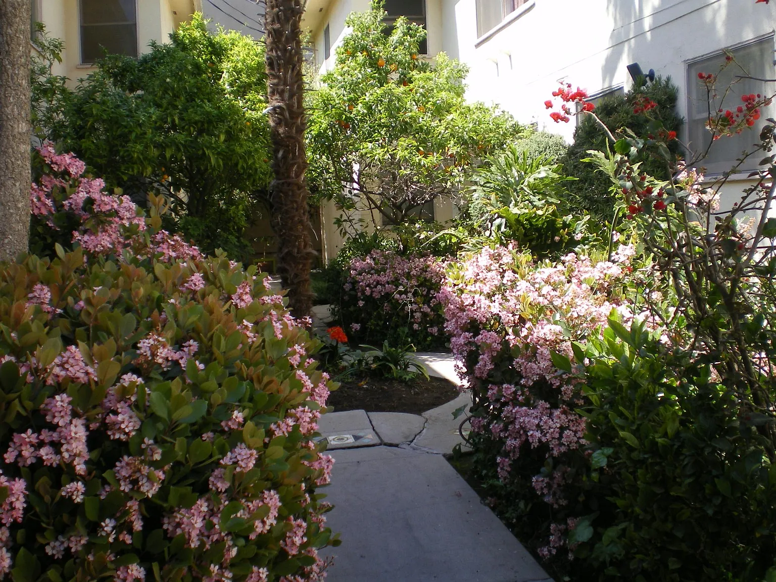 1 bed, 700 sqft, $2,100 — Photo 2