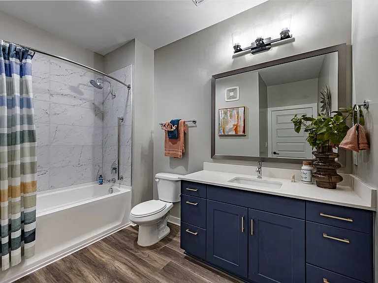 Model Bathroom