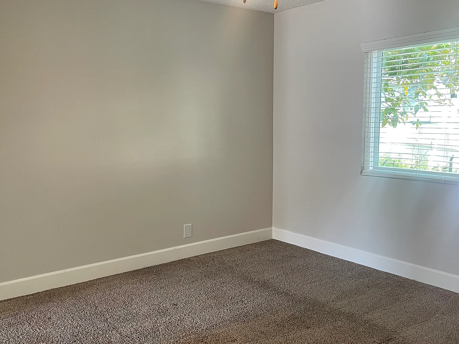 921 S Park Cir — Photo 4
