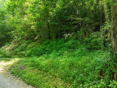 174 Old Ivey Hollow Rd, La Follette, TN, 37766